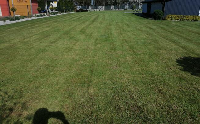 Wertykulacja Trawników , Zakładanie Ogrodów ,Cięcie Krzewów