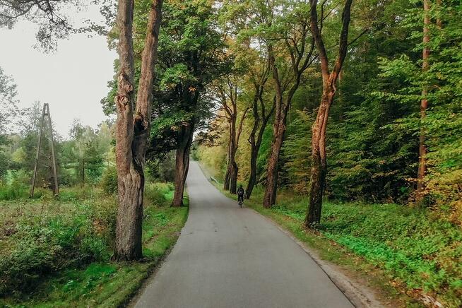 Działka z linią brzegową Kanału Elbląskiego - Miłomłyn.