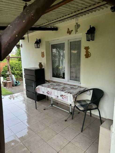 Odstąpię ogródek działkowy