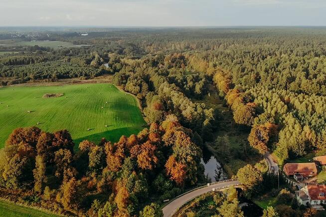 Działka z linią brzegową Kanału Elbląskiego - Miłomłyn.