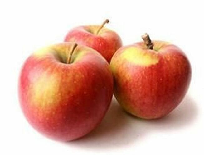 Fartuchy laboratoryjne Warszawa politechnika RATES