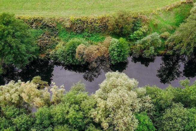 Działka z linią brzegową Kanału Elbląskiego - Miłomłyn.