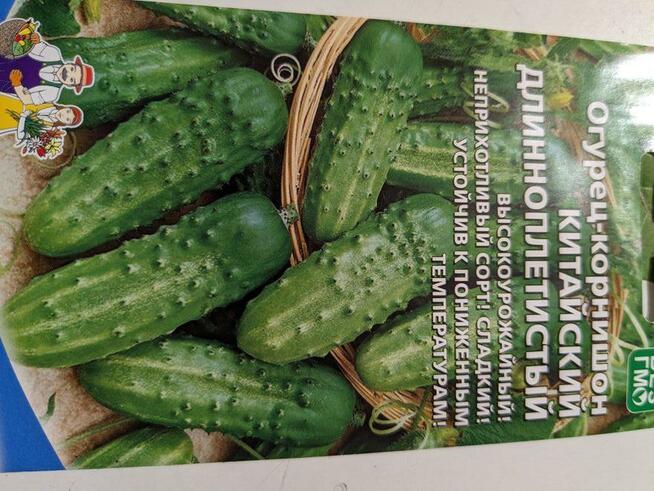 Warzywa Eco Salata kolorowa, cykoria, nasiona