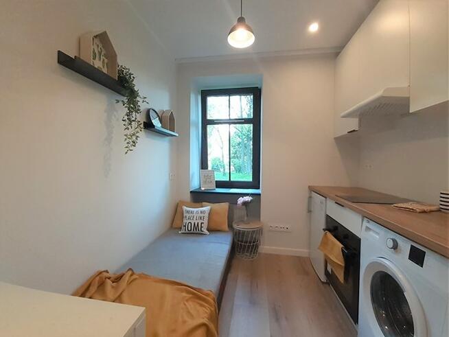 Kawalerka przyjazna dla zwierząt, 3 Maja 33