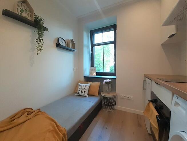 Kawalerka przyjazna dla zwierząt, 3 Maja 33