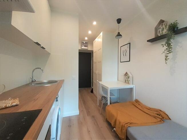 Kawalerka przyjazna dla zwierząt, 3 Maja 33