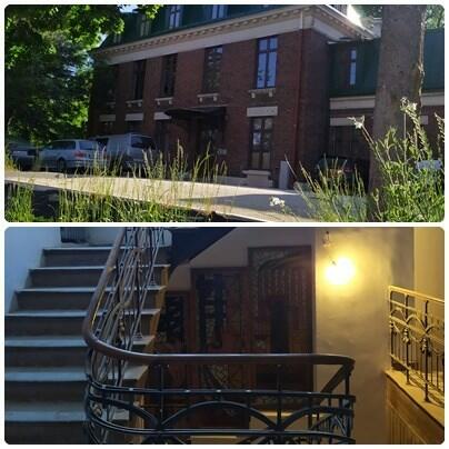 Kawalerka przyjazna dla zwierząt, 3 Maja 33