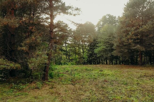 Działka z linią brzegową Kanału Elbląskiego - Miłomłyn.