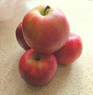 Fartuchy laboratoryjne Warszawa politechnika RATES