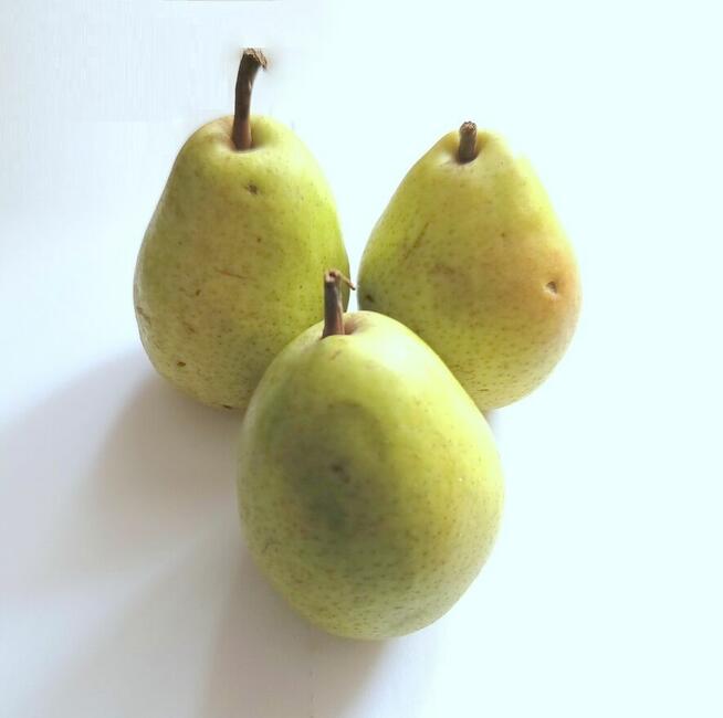 Fartuchy laboratoryjne Warszawa politechnika RATES