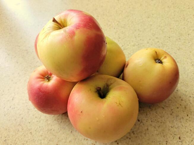 Fartuchy laboratoryjne Warszawa politechnika RATES