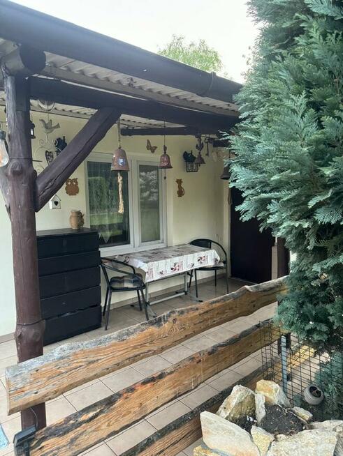 Odstąpię ogródek działkowy