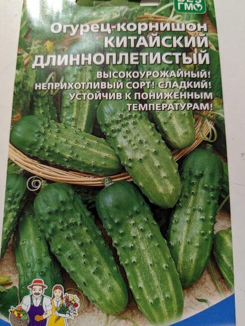 Ogórek Gruzin Palczik Roznasol Kustowoj nasiona kolekcjoners