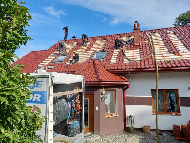 Zwalczanie kun Naprawa izolacji po kunach dociplanie celulo