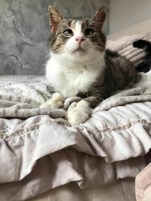 Zozolka i Burunia czekają na dom który je uratuje Łochów