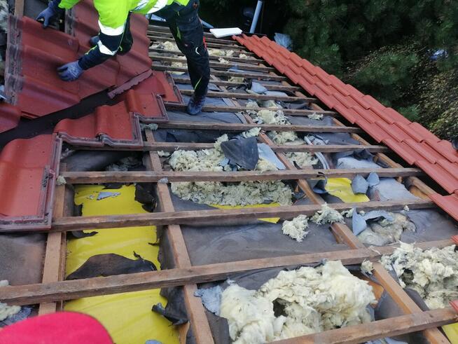 Zwalczanie kun Naprawa izolacji po kunach dociplanie celulo