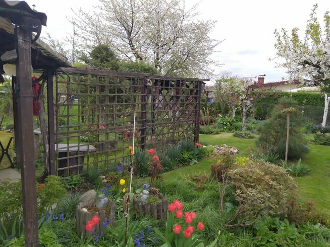 Ogródek działkowy ROD Biała Róża Gliwice