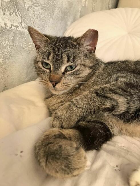 Zozolka i Burunia czekają na dom który je uratuje Łochów