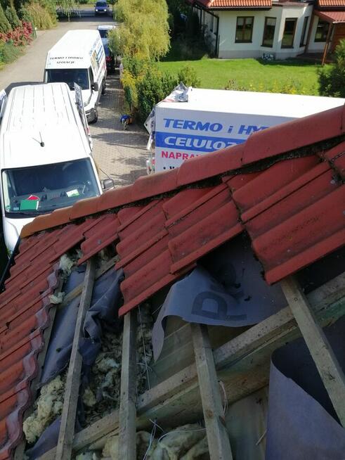 Zwalczanie kun Naprawa izolacji po kunach dociplanie celulo