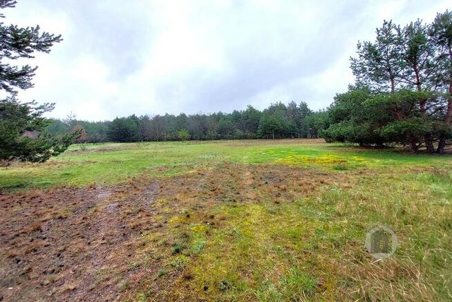 Nieruchomość gruntowa w Goszczanowcu