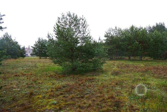 Nieruchomość gruntowa w Goszczanowcu