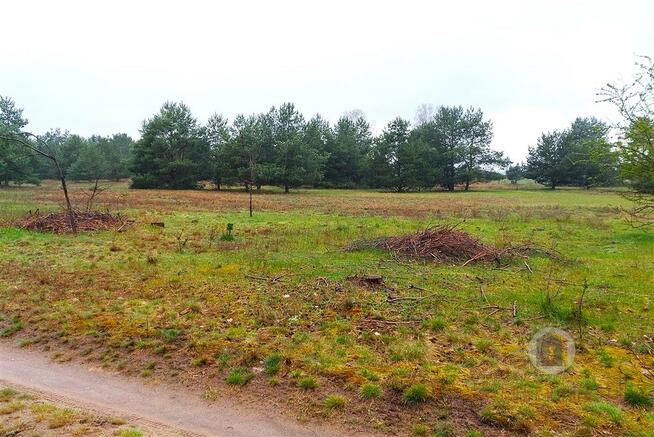 Nieruchomość gruntowa w Goszczanowcu