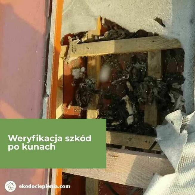 Naprawa dachu - Zwalczanie kun - Wdmuchiwanie izolacji