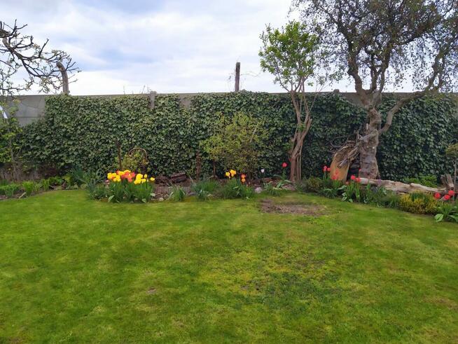 Ogródek działkowy ROD Biała Róża Gliwice