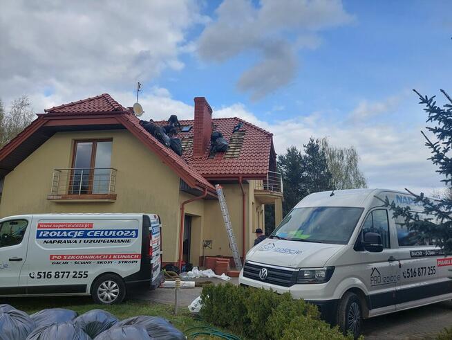 Zwalczanie kun Naprawa izolacji po kunach dociplanie celulo