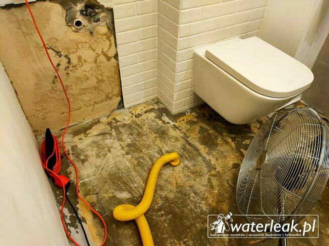 WaterLeak - osuszanie budynków i lokalizacja wycieków wody