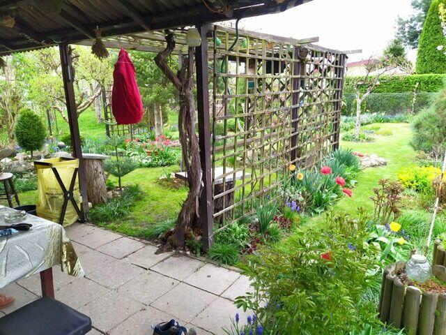 Ogródek działkowy ROD Biała Róża Gliwice