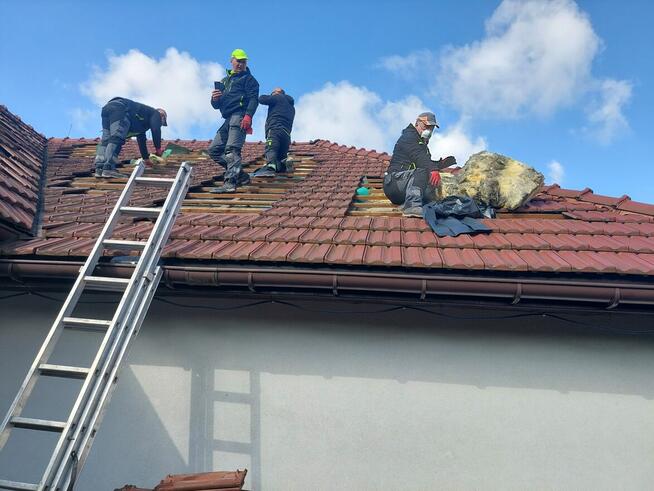 Zwalczanie kun Naprawa izolacji po kunach dociplanie celulo