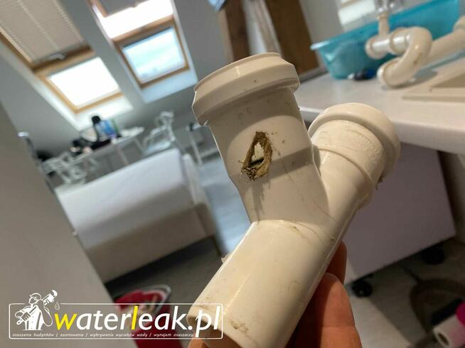 WaterLeak - osuszanie budynków i lokalizacja wycieków wody