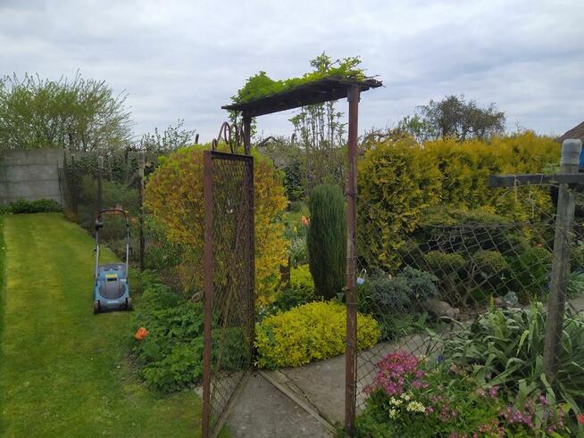 Ogródek działkowy ROD Biała Róża Gliwice