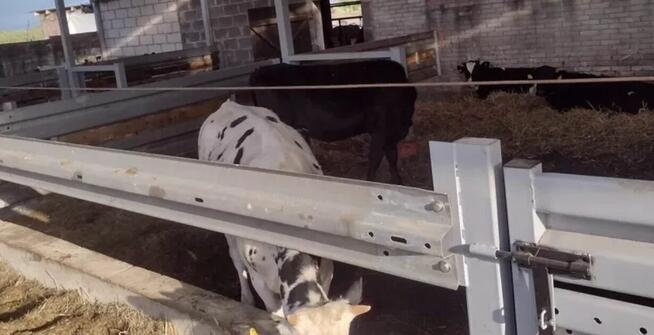 Bariery drogowe, autostradowe, odbojniki, wygrodzenia dla by