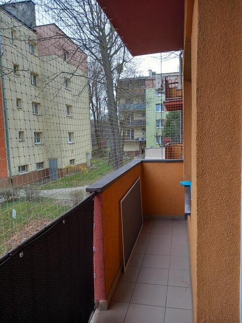 Montaż siatki na balkonie, oknie dla kotka przeciw ptakom