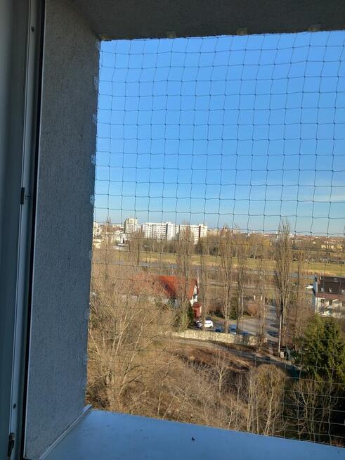 Montaż siatki na balkonie, oknie dla kotka przeciw ptakom