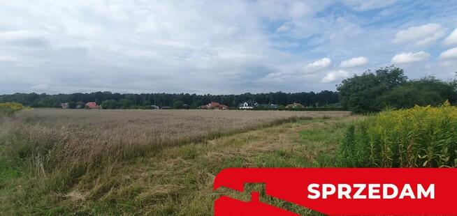 Piękna działka budowlana blisko lasu- 17ar-Świdnik