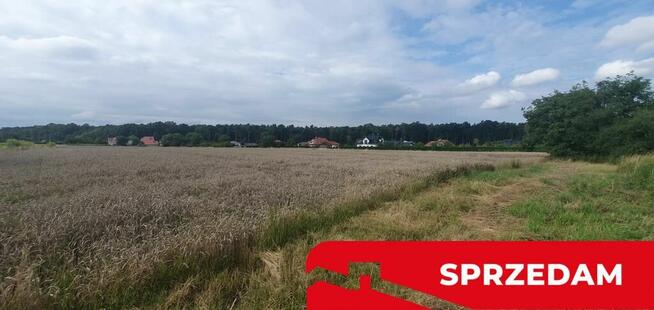 Piękna działka budowlana blisko lasu- 17ar-Świdnik