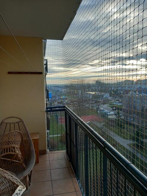 Montaż siatki na balkonie, oknie dla kotka przeciw ptakom