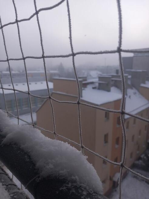 Montaż siatki na balkonie, oknie dla kotka przeciw ptakom