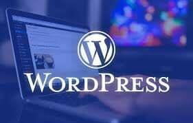 Kurs: ,,Program WORDPRESS- on-line