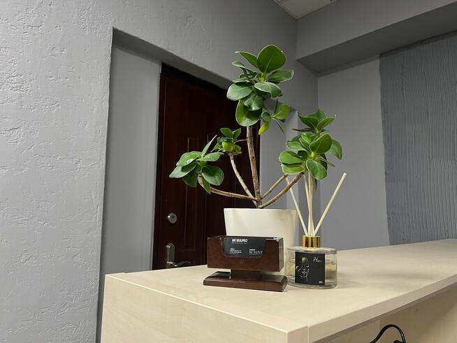 mBiuro Plac Solny 14/3 - wirtualne biuro w sercu Wrocławia!