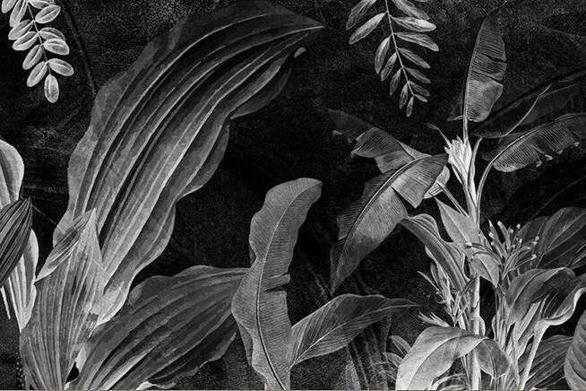 Czarno biała fototapeta