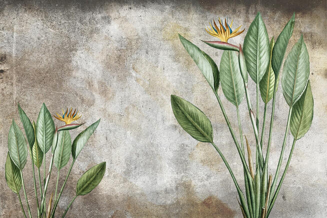 Fototapeta liście beton