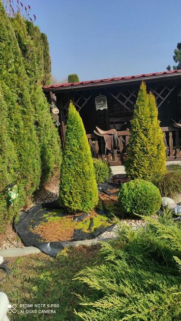 Usługi ogrodnicze, koszenie