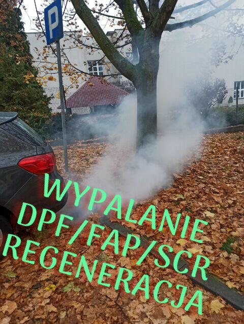 Diagnostyka Komputerowa Samochodu/kasowanie błędów/dpf/fap