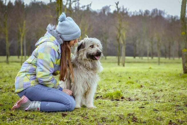 Dulux piękny i wspaniały ok 3 let. pluszak szuka dom Aneta S