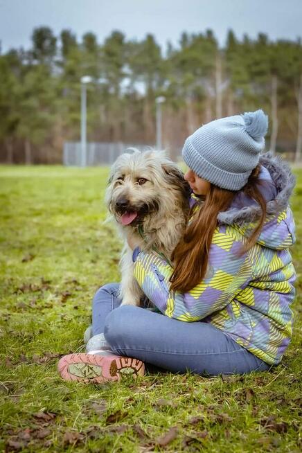 Dulux piękny i wspaniały ok 3 let. pluszak szuka dom Aneta S