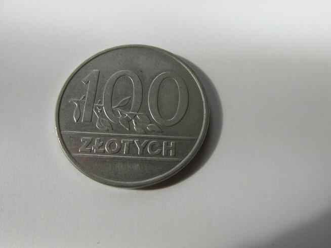 Monety RP 100zł (gałązka)